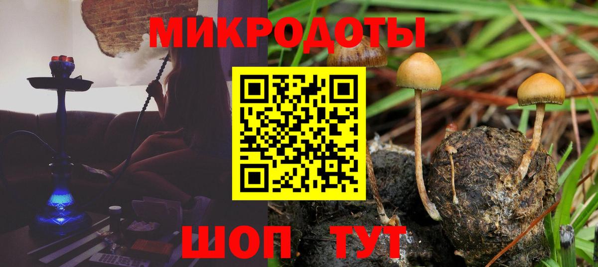 Галлюциногенные грибы мицелий Камень-на-Оби