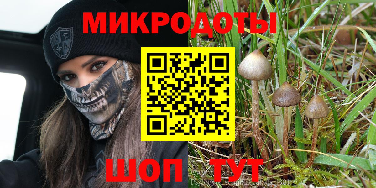 Камень-на-Оби  Галлюциногенные грибы мицелий  Вход с VPN 